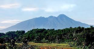 Gunung Halimun Jawa Barat, Hutan Mistis dan Surga Biodiversitas